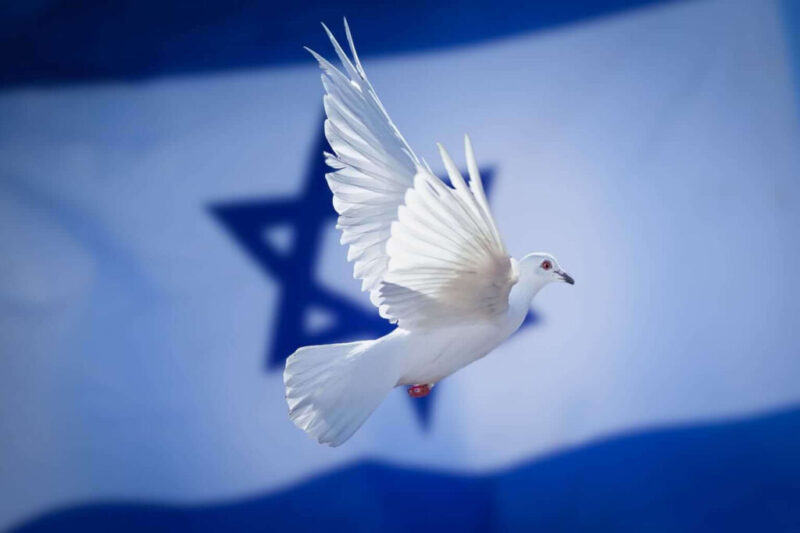 Israel flag dove 1536 1 1